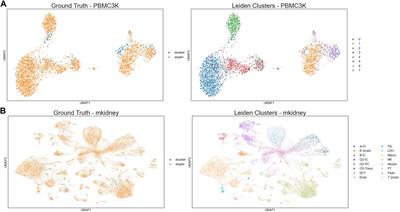 scMODD: A model-driven algorithm for doublet identification in single-cell RNA-sequencing data